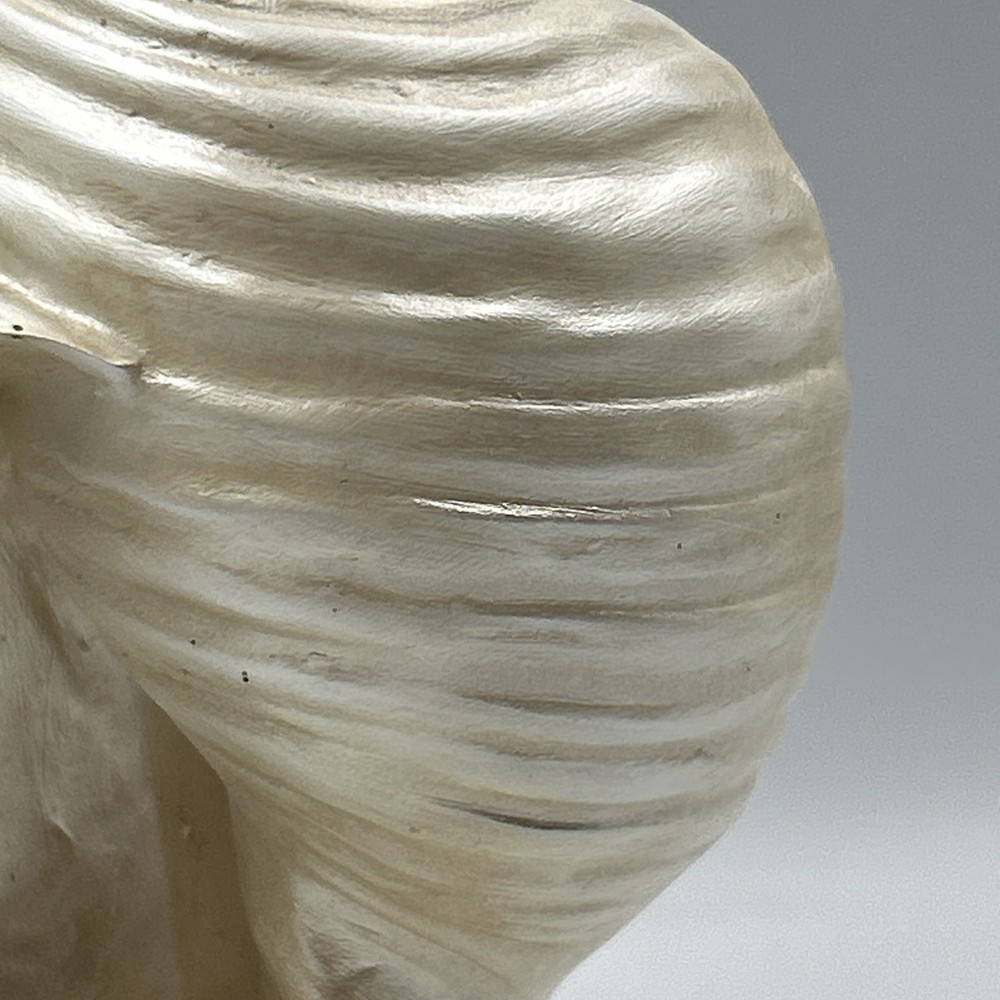 Iridescent White 6.75” Conch Shell Bookend Ceramic Single