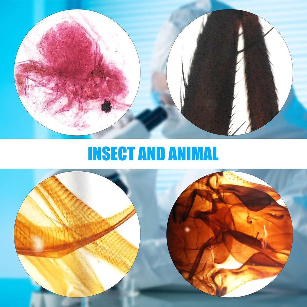 Microscope Slides, 100 Pcs Prepared Microscope Slides with Specimens for Kids...