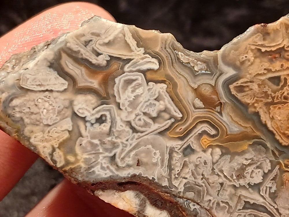Laguna Lace Agate Rough End