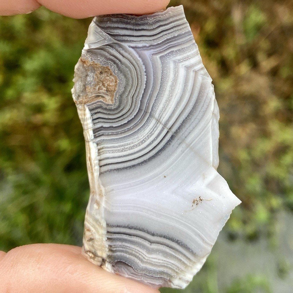 White Fortification Agate Banded Slab
