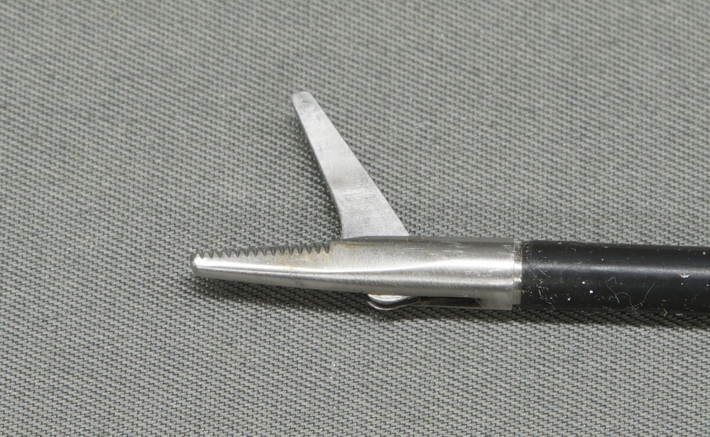 Wolf 8383.027 Scissors (R2)