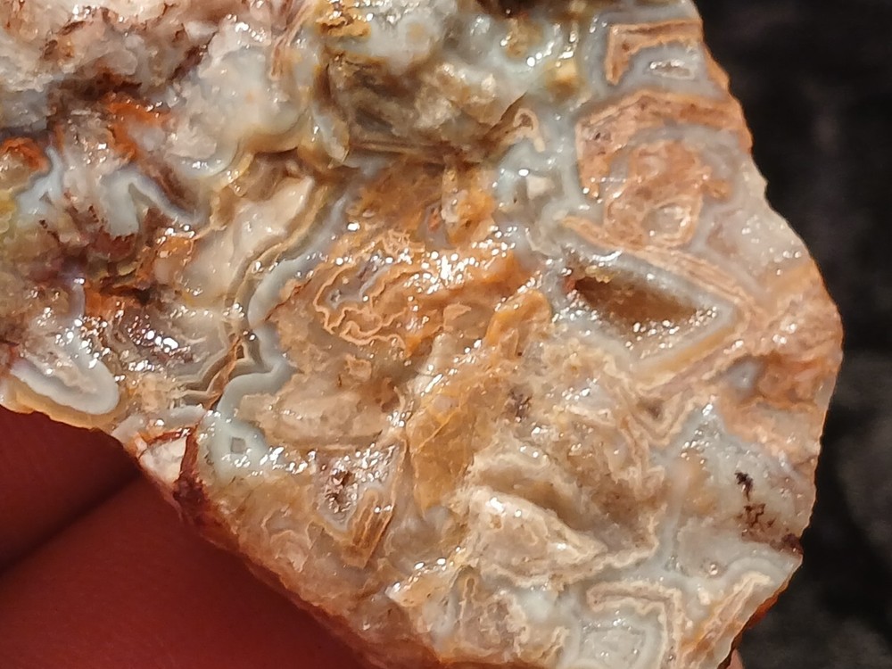 Laguna Lace Agate Rough End