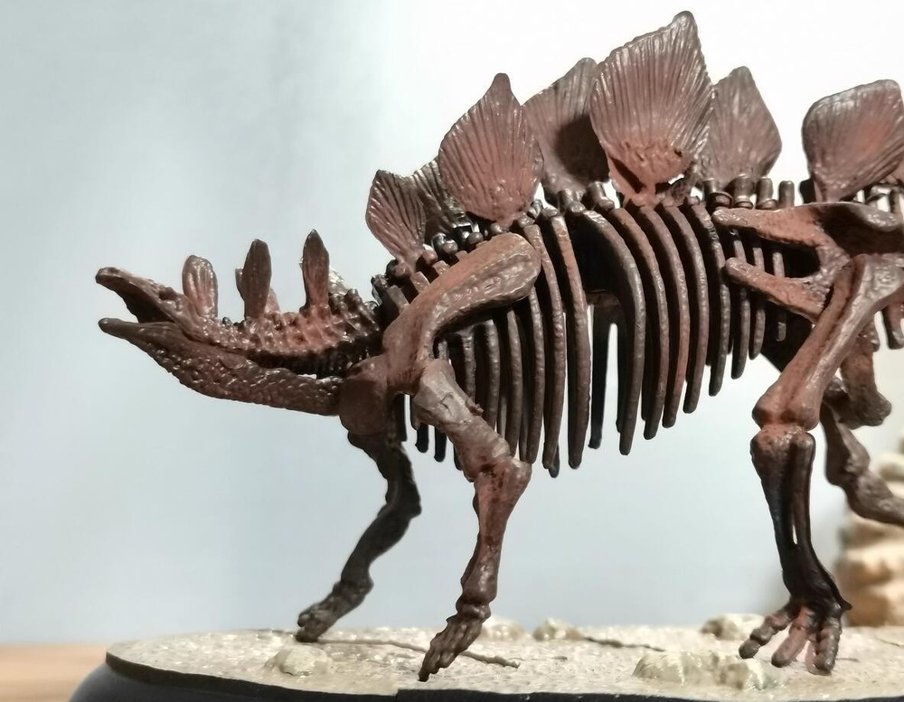 Stegosaurus Skeleton Model Dinosaur Model Statue Display Animal Model