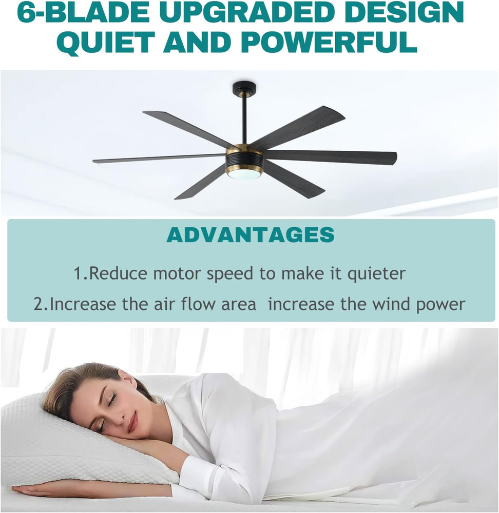 Ceiling Fan with Lights and Remote, 6 Blade App Control Timer Reversible Steples