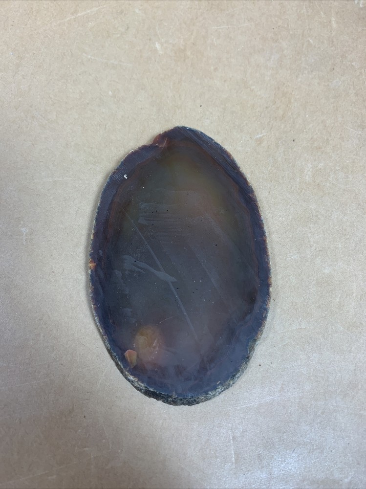 Fossil Petrified Wood & other Rocks