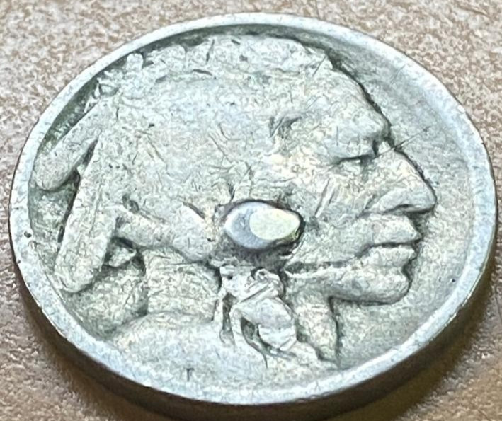 Buffalo Nickel Lamination Defect on front, Unk Date (c265)