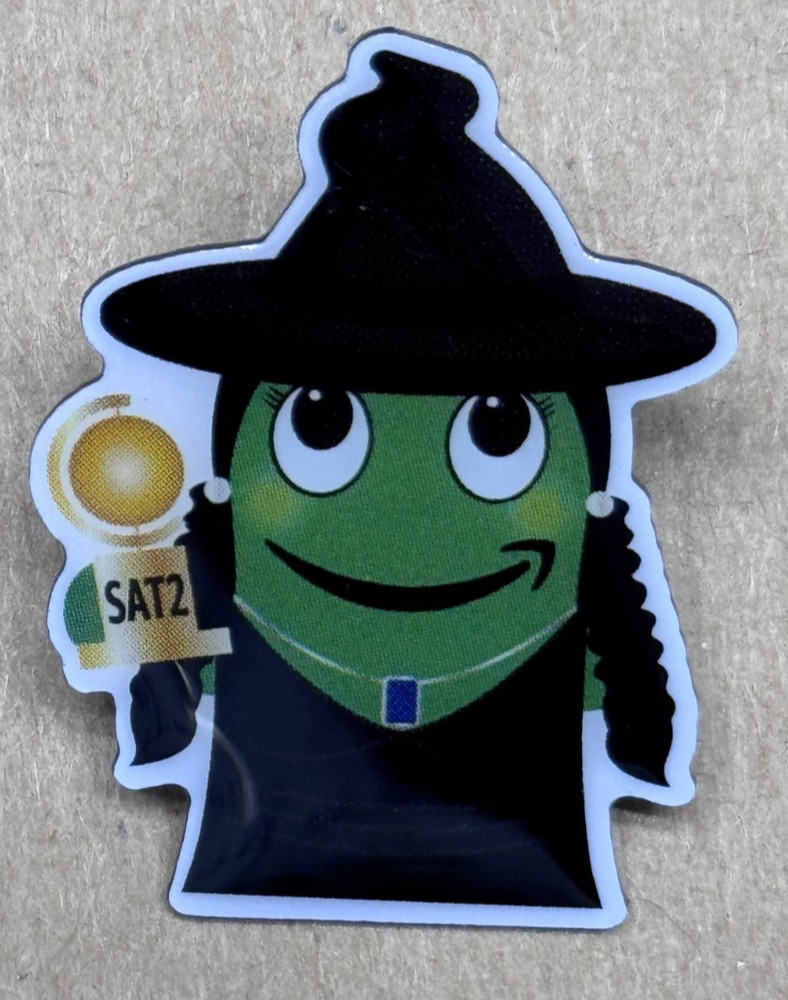 Halloween Witch AMAZON PECCY PIN