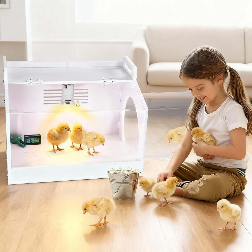 Iarge-Scale Chick brooder Box Quail Cage Egg Incubator Chick Starter Kit Chicken