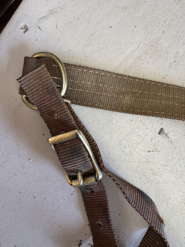 horse nylon breast collar