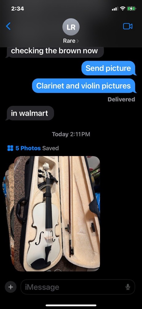 Cecilio White Violin