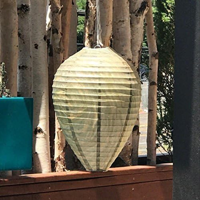 Wasp Nest Decoy - 3 Pack - Eco-Friendly Hanging Repellent