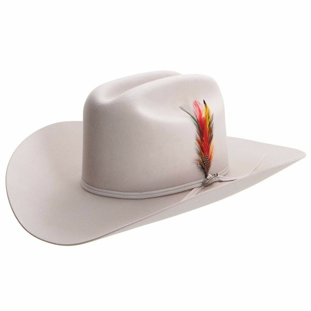 Stetson® Classic Cowboy Hat Feather ( 2 Feathers ) MULTICOLOR