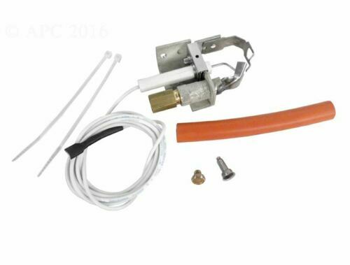 Raypak 002003F Pilot Kit Natural Or Propane Pool & Spa Heaters SAME DAY SHIPPING
