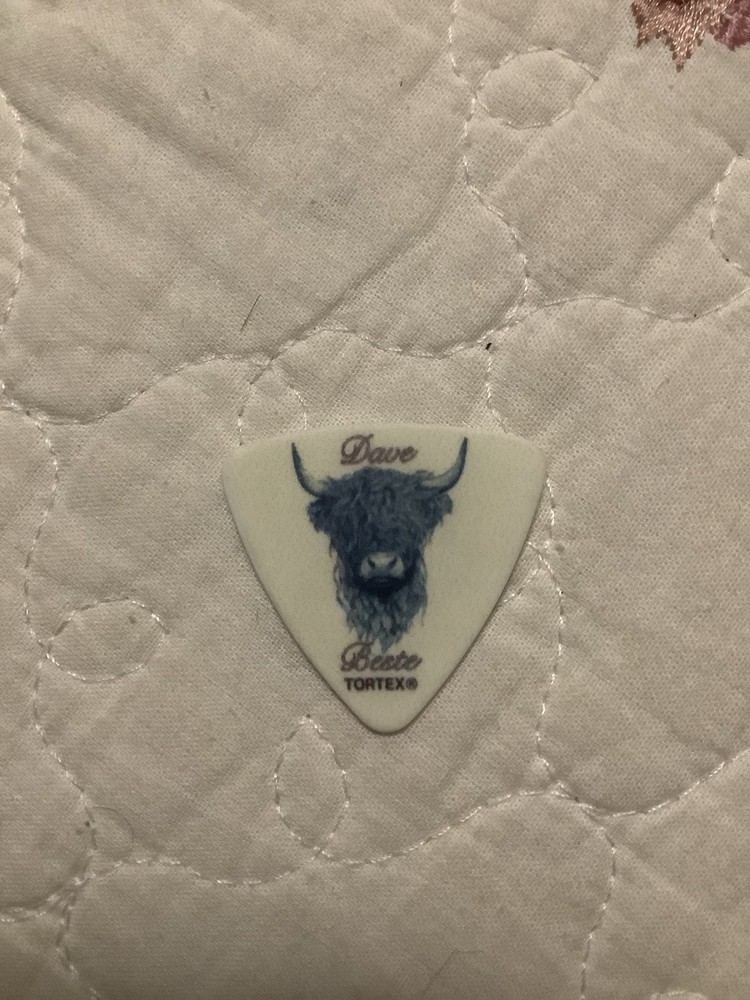 Rival Sons Guitar Pick