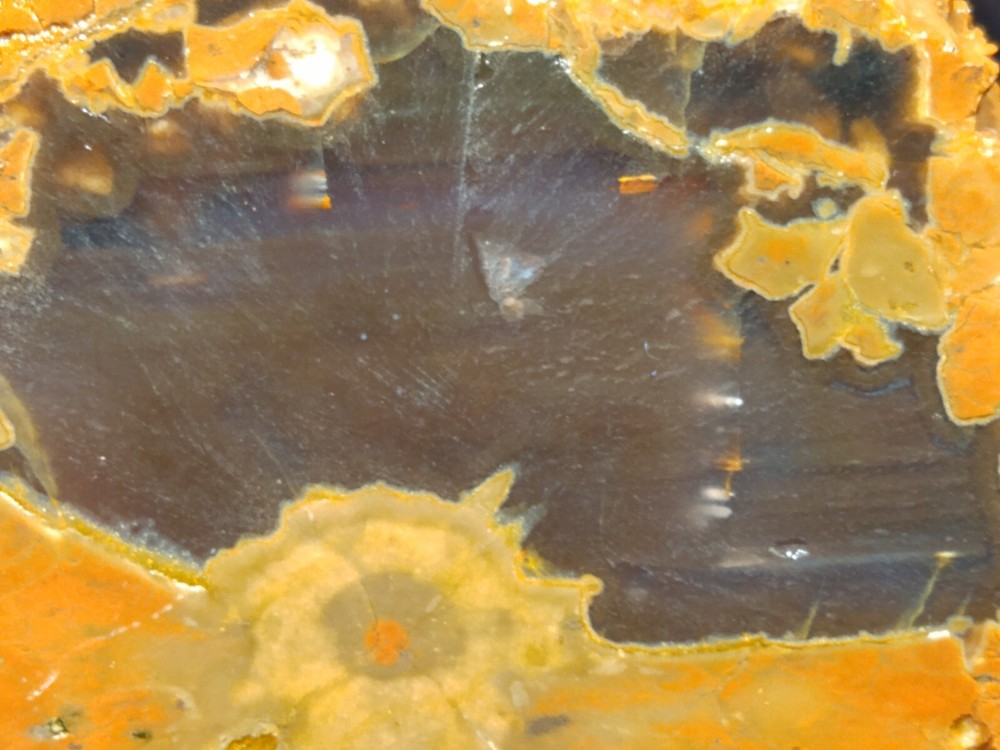 Richardson Ranch Waterline Agate Rough Slab