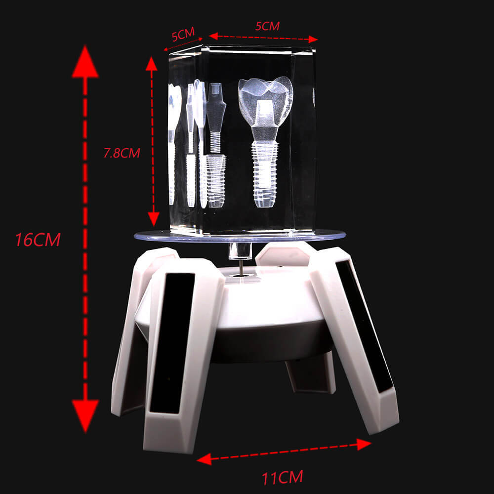 Dental Implant Study Model with Crystal Molar & Rotary Base for Demonstration