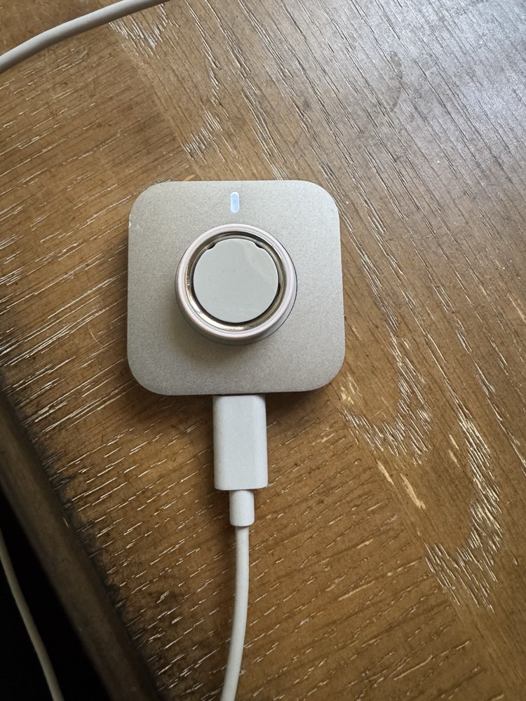Oura Ring Gen 4 Ceramic Petal Size 9