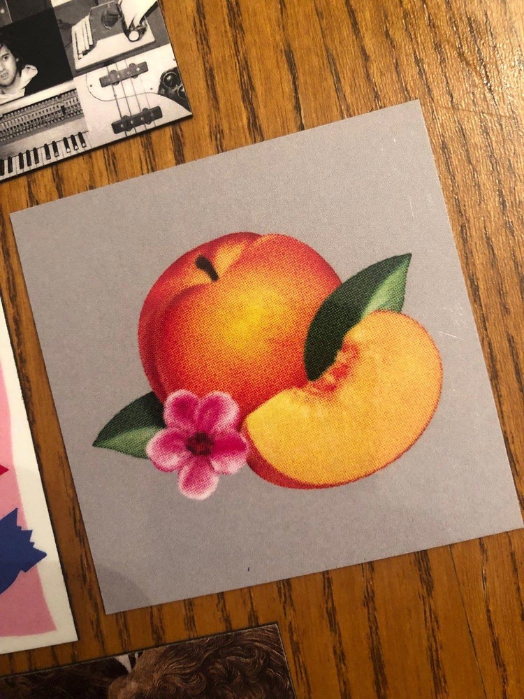 Phoenix fridge magnets