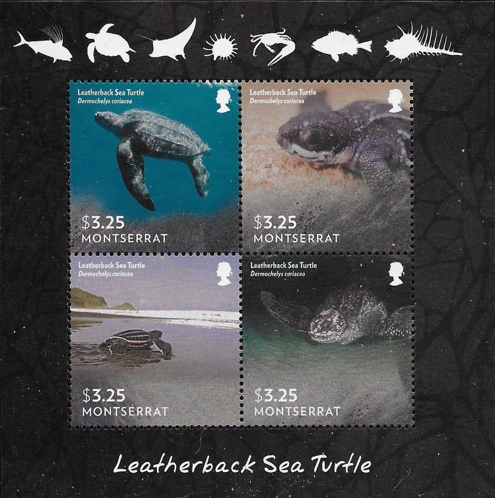 Montserrat Scott #'s 1359 MNH