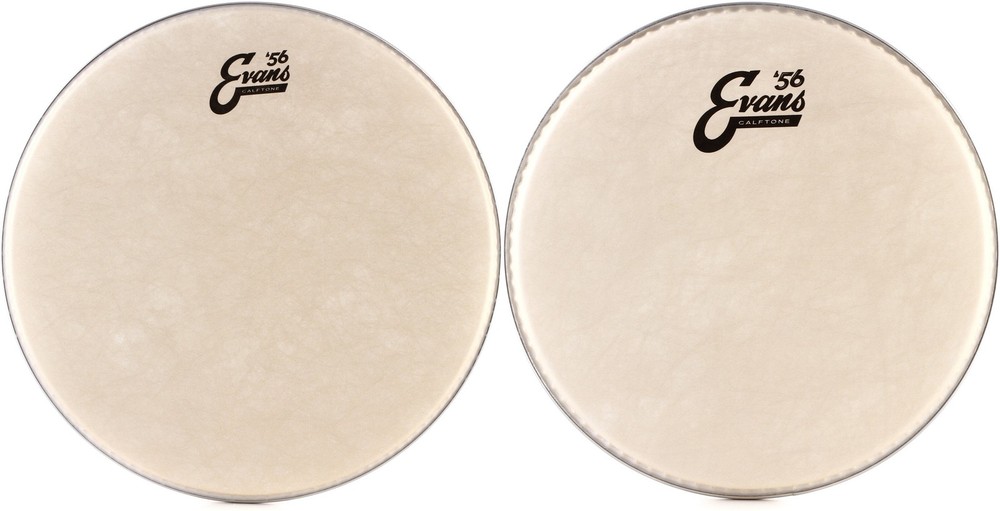 Evans Calftone Drumhead - 14 inch + Evans TT10C7 Value Bundle