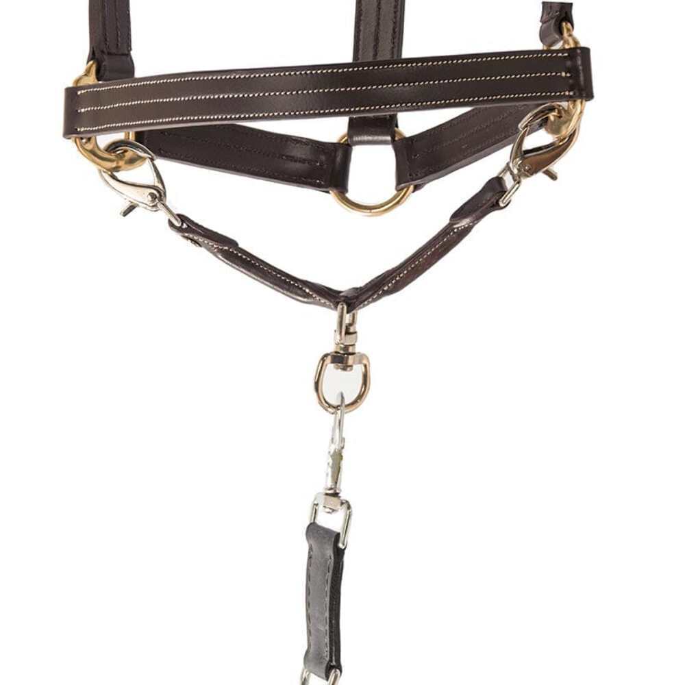 Leather Covered Lunge Strap