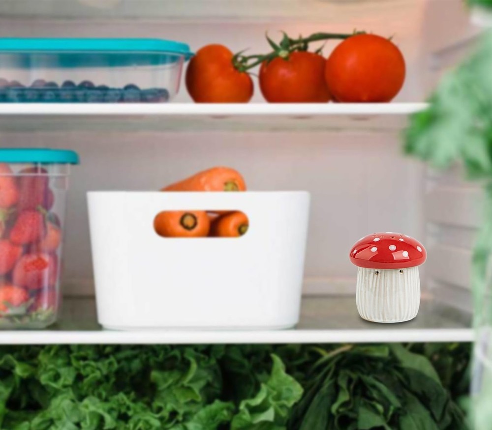 Mushroom Baking Soda Holder For Fridge Deodorizer Ceramic Baking Soda Fridge ...
