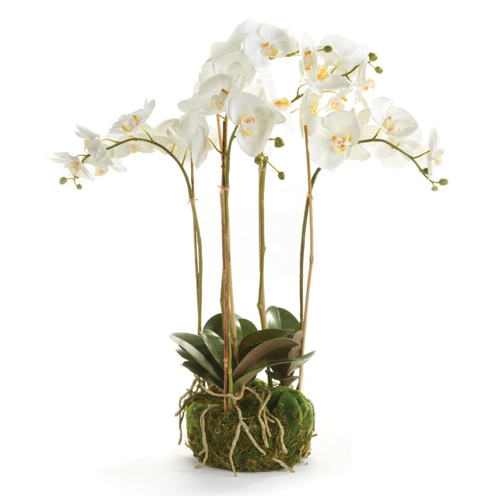 Orchid Bowl Drop-in 25" White