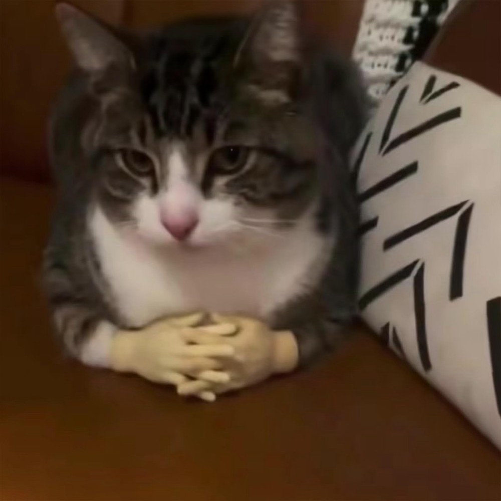 Stretchable Hands Toy, Hands for Cats, Stretchable Hands Toy,9121
