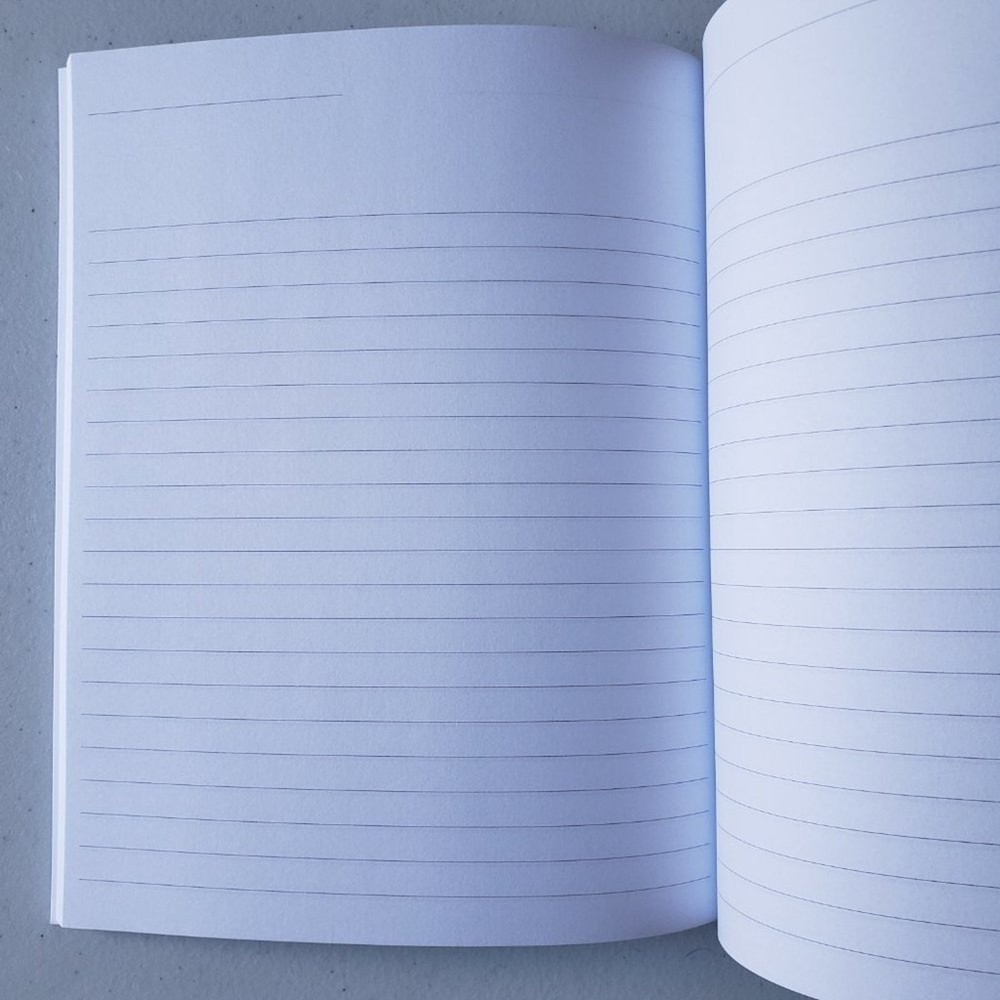 A Boxer Lover’s Journal: Bruiser Blank Lined Notebook
