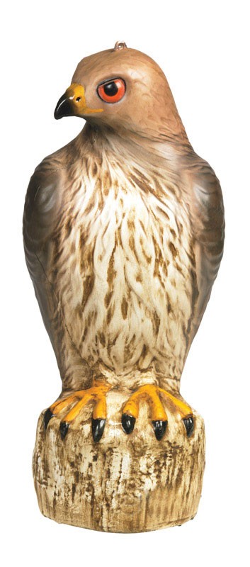 Bird-B-Gone Bird Deterrent Decoy For Assorted Species