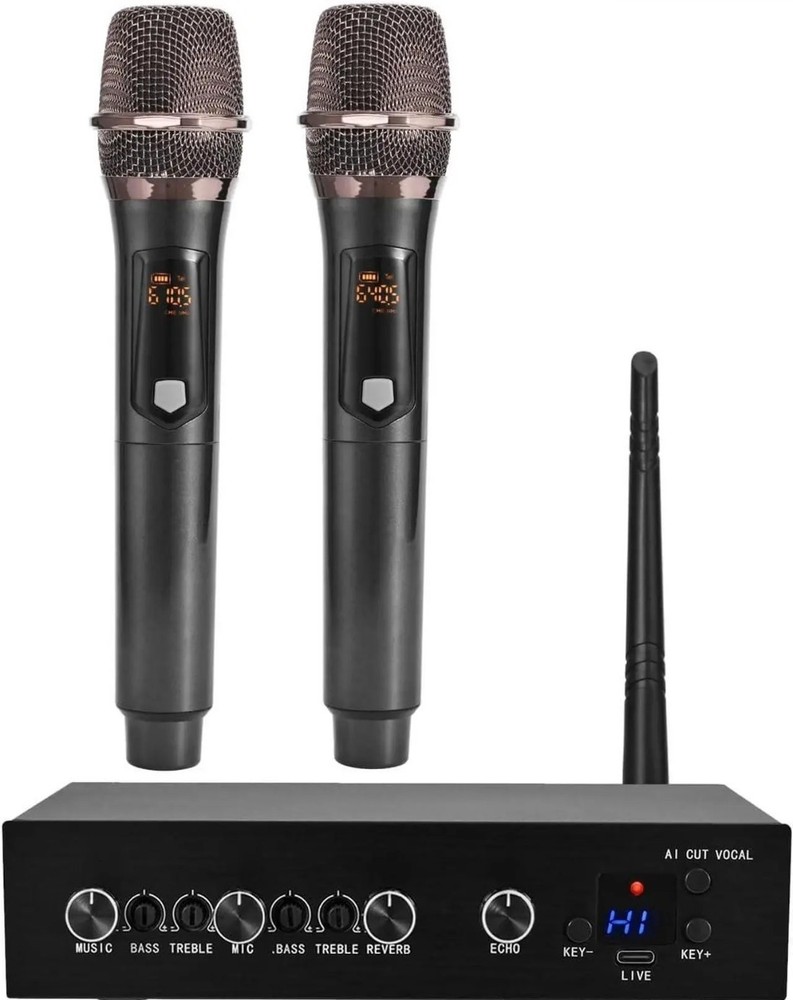 AIK089 Karaoke Wireless Microphone Machine