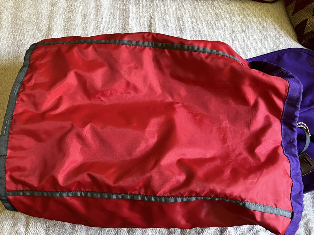 patagonia arbor backpack Purple 40th Anniversary