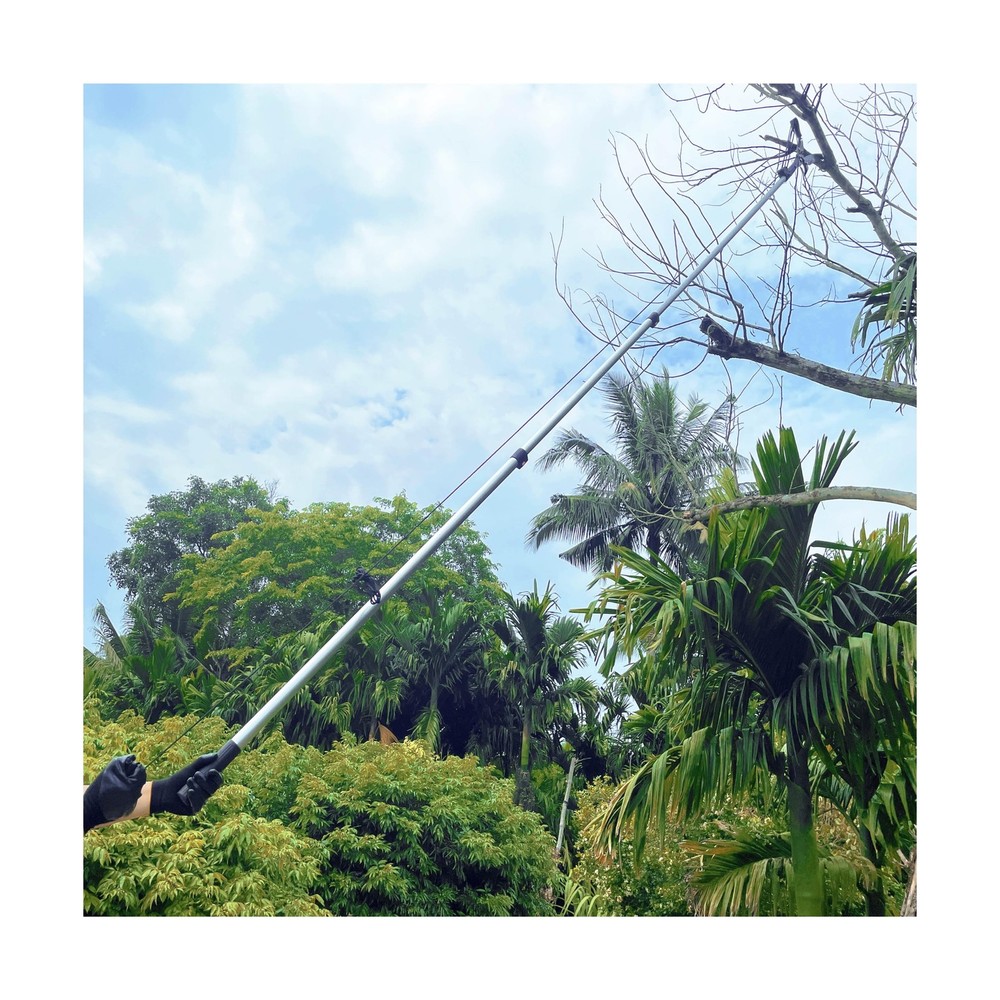 Tree Trimmer Pole Saw 4.9-13FT, Tree Pruner Extendable, Long Handle Pruning S...