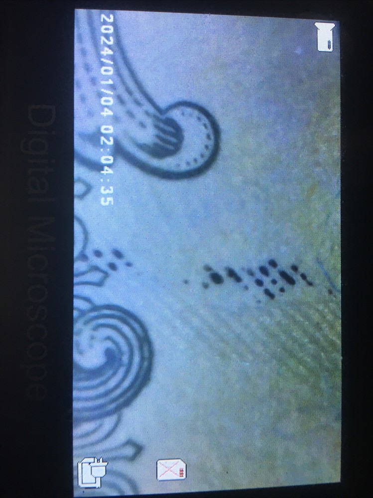 2021 Consecutive $1 Bill Errors~wet Ink Transfer On Reverse