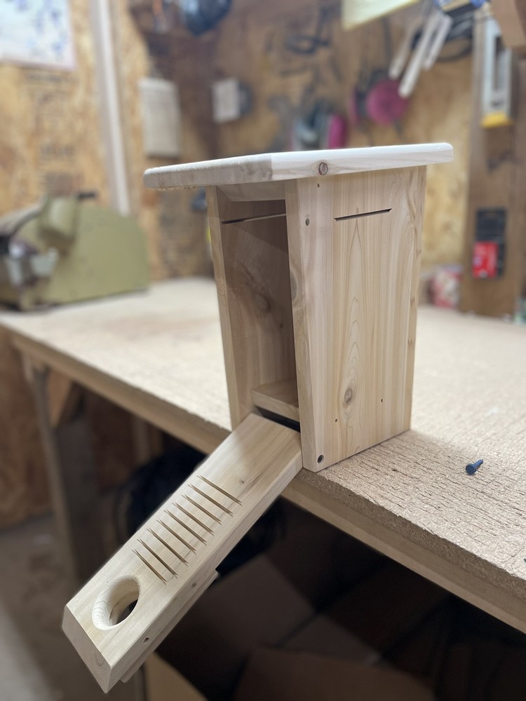 White cedar Bluebird nesting box
