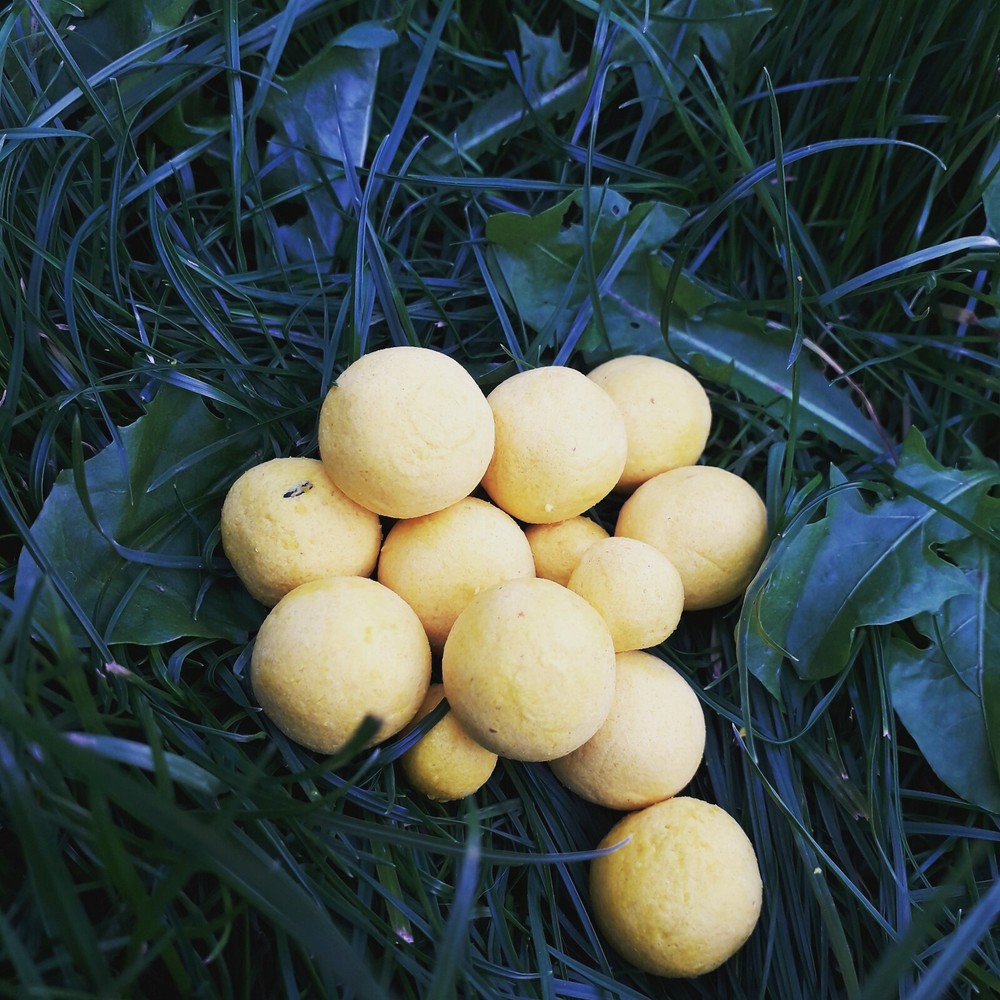 Custom carp baits pop ups fishing 