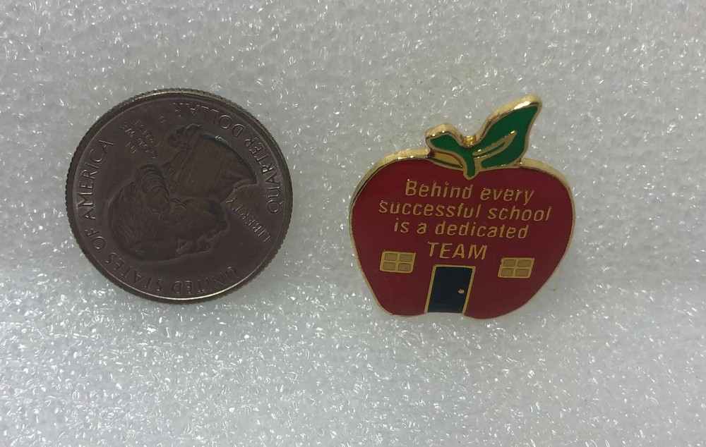 Behind Every Successful School Is A Dedicated TEAM Apple Pin