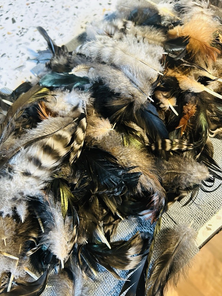 Colorful Chicken Feathers