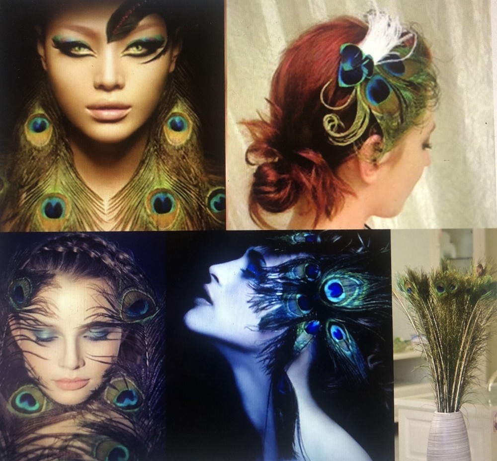 Natural Peacock Tail Feathers (Bunch)
