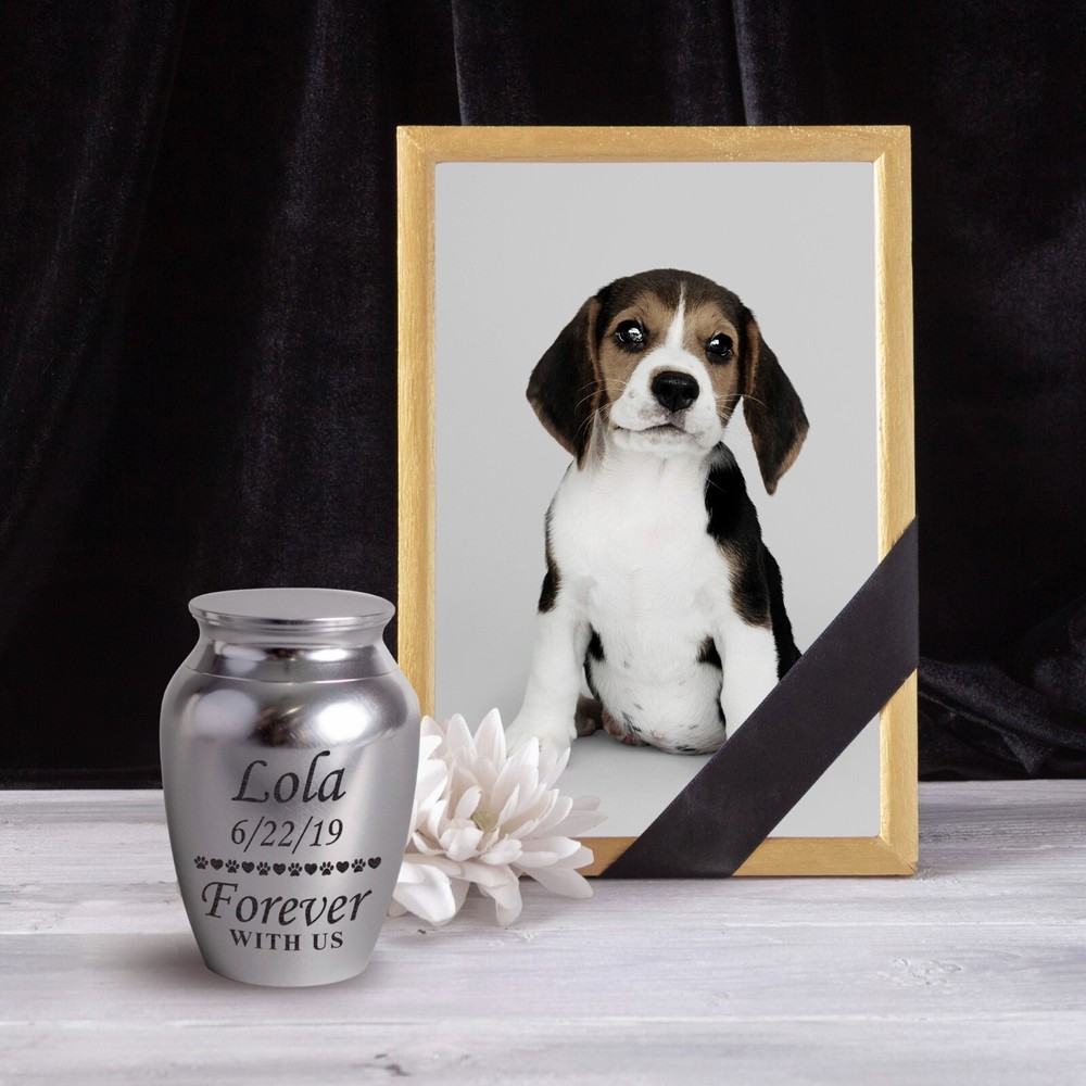 Personalized Cremation Keepsake Pet Ashes Mini Urn Waterproof with Airtight
