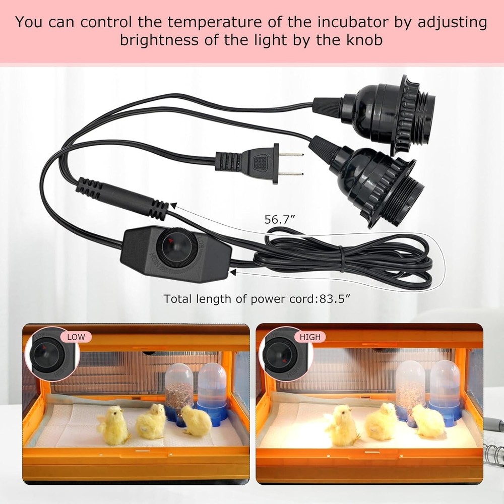 Chicken Brooder Box for Chicks Brooder Heater Chicks w/ Thermometer for 20 Ducks