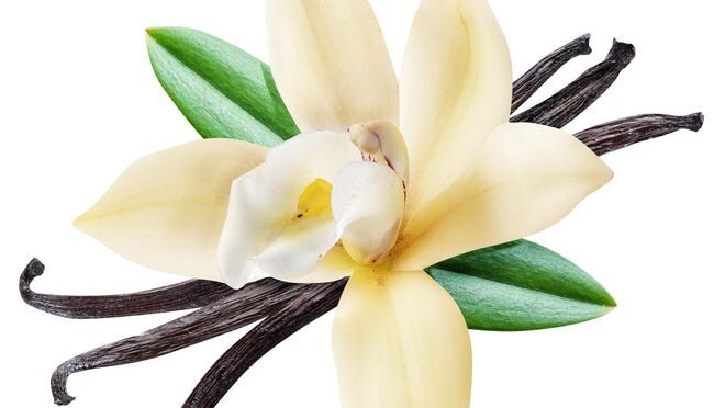 Aromatherapy Essential Oil-with Lavender & Vanilla-