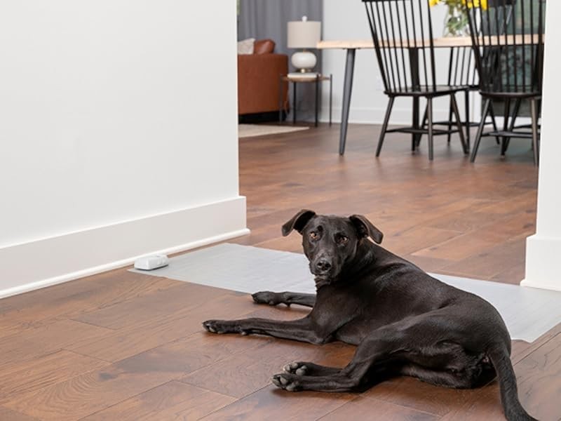 PetSafe Scat Mat 48"X20" Pet Training Mat Large