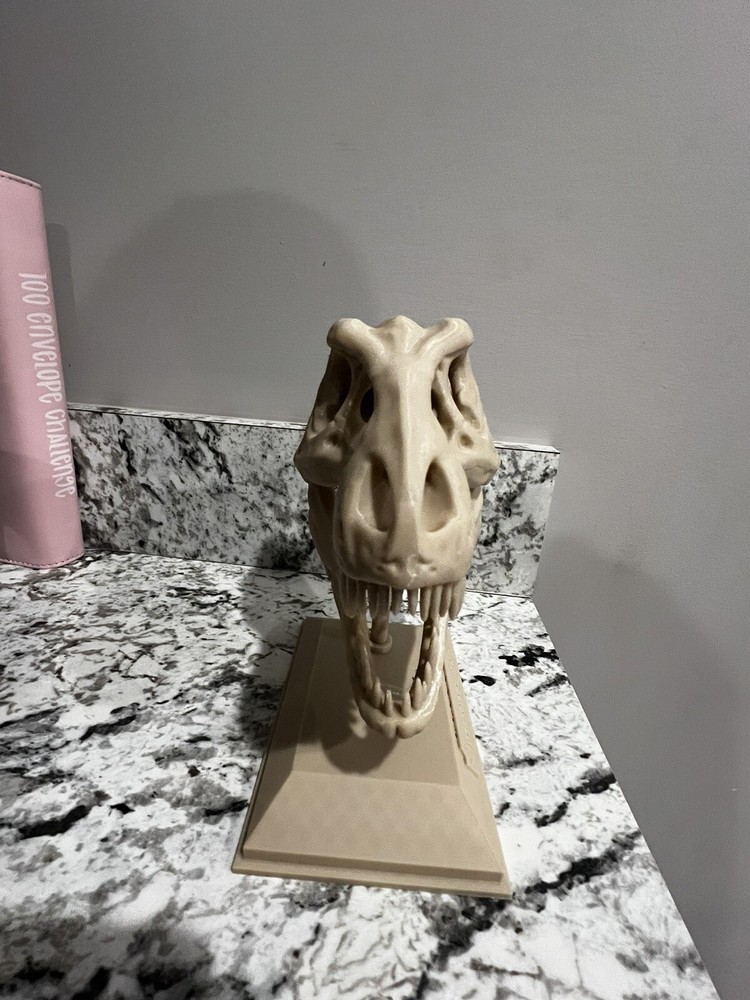 t rex skull replica