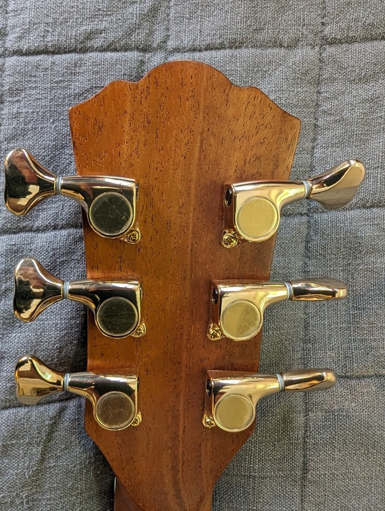 Washburn Bella Tono Elite W/Case