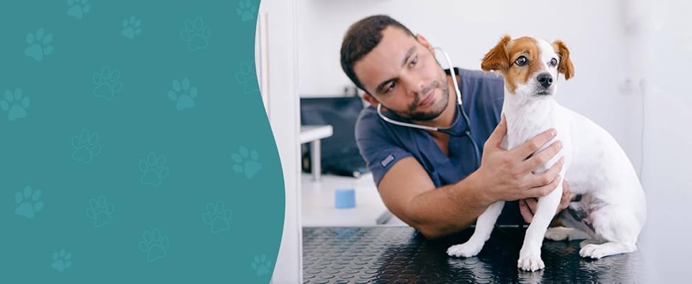 Dog Muzzle, Patented Mesh Muzzles for Small Medium Lar Dogs,