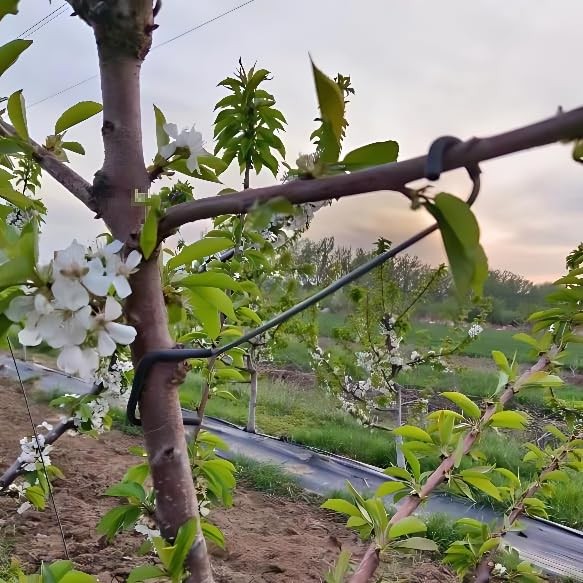 20pcs Fruit Tree Limb Spreader 7in Branch Puller Garden Training Tool