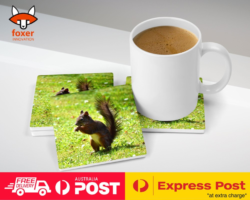 COASTER COFFEE DRINKING MAT|CUTE ADORABLE SQUIRREL RODENT #3
