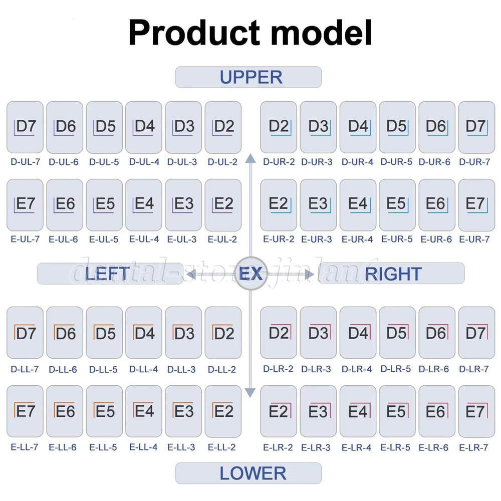 48 ASSORTED PRIMARY MOLAR STAINLESS STEEL CROWNS - COMPLETE KIT