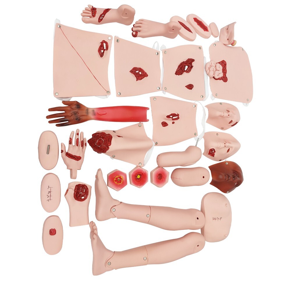 Multi Functional Trauma Care Manikin Nursing Manikin Training 24 Wound Modules